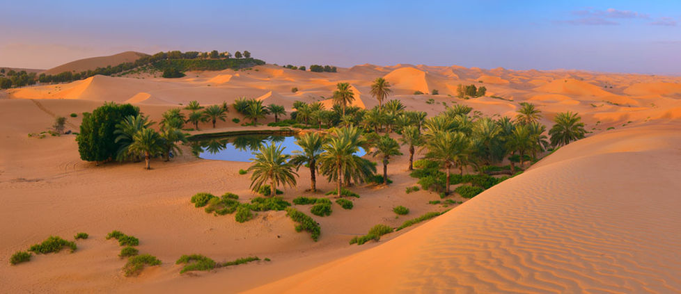 5V2A8927 Panorama.jpg