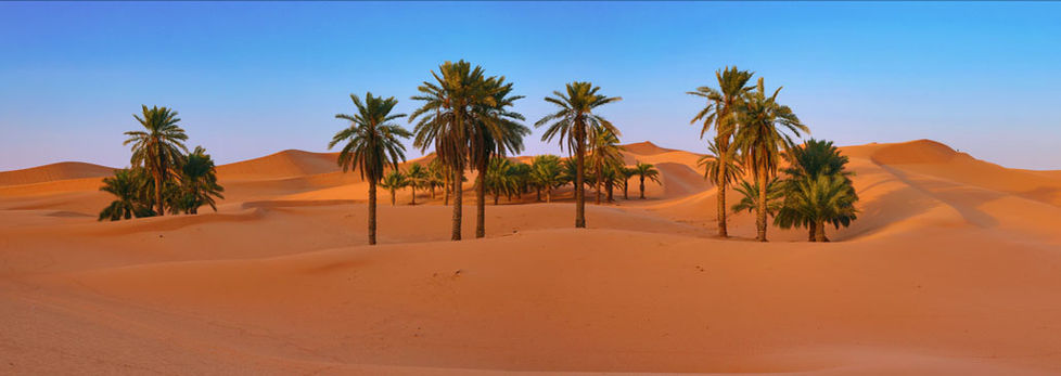 5V2A8735 Panorama.jpg