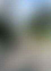 サイトリニューアルのお知らせ