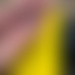 Updates updates updates