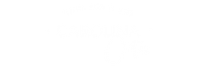 logotipo CAROLINA ORTIZ-12.png