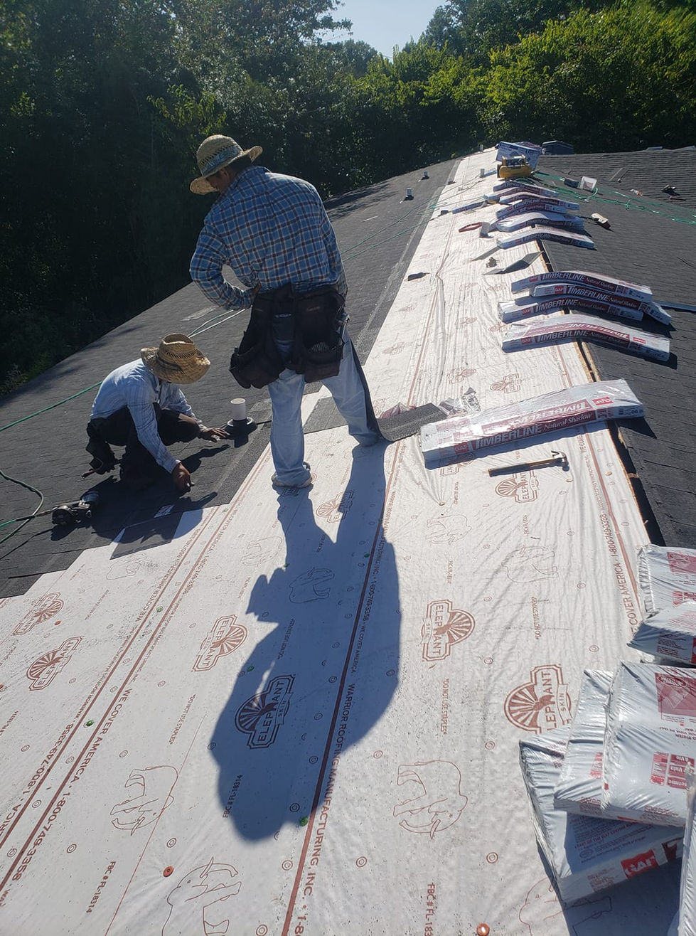 69377266_368636557350355_3821213483920261120_n