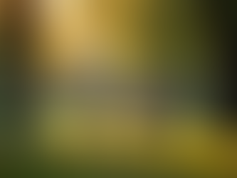 Understanding How Teens Navigate Their Feelings of Grief and Loss