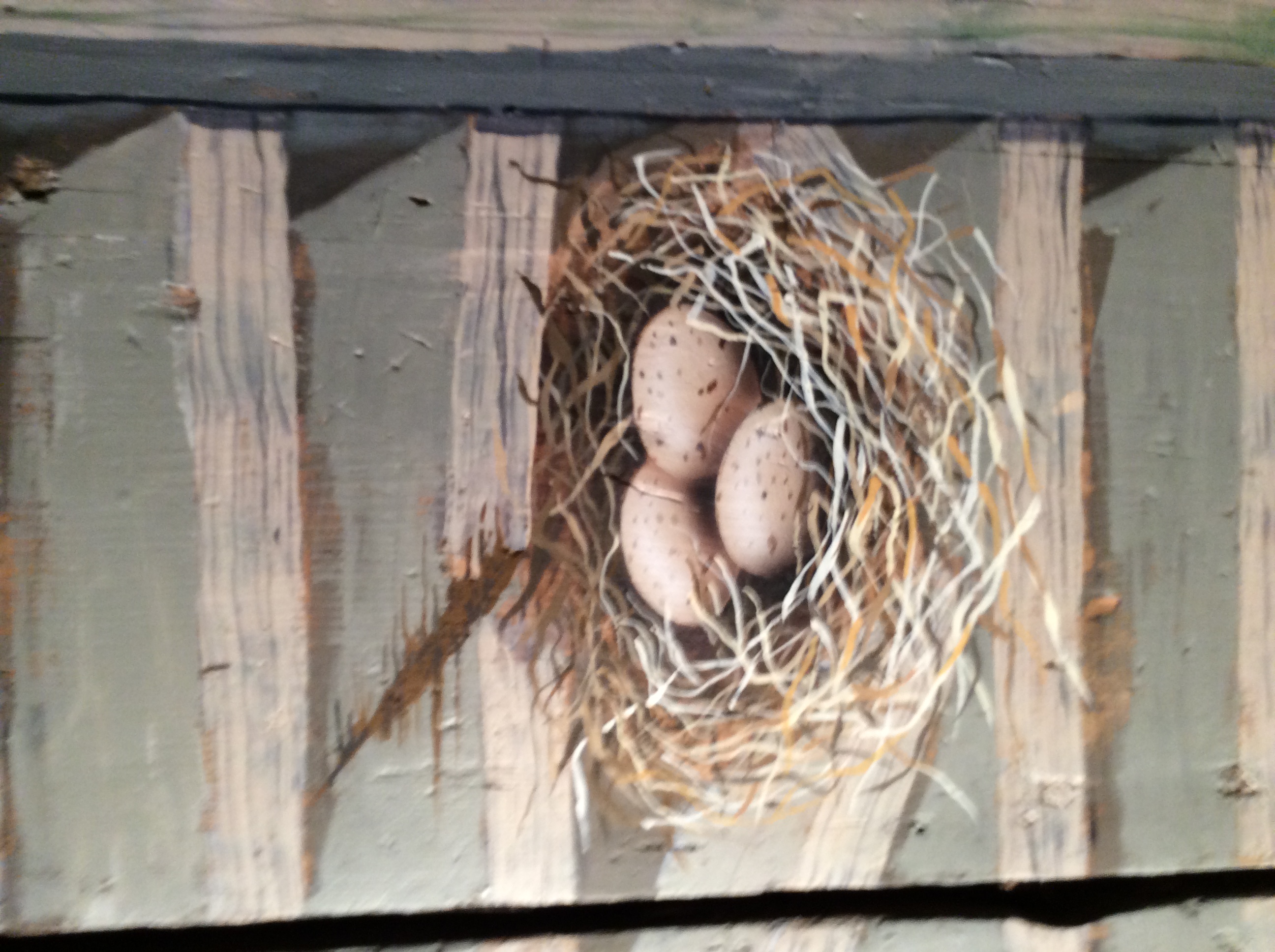 Airbrushed shutter with nest
