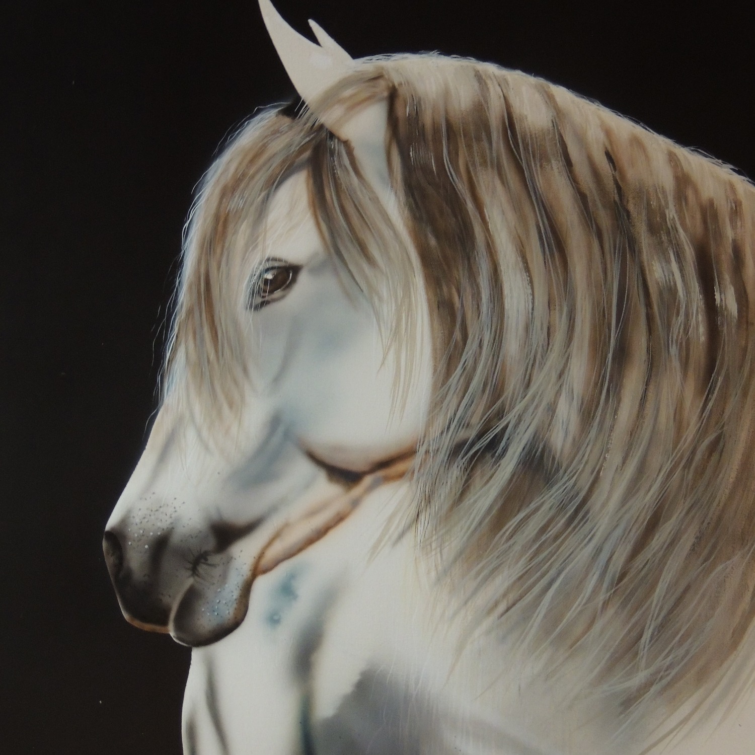 Custom airbrush of horse