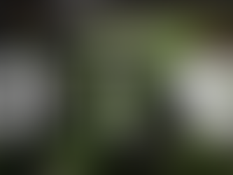 誤情報、ドタキャン、通信拒否。過去一ストレスを抱えたTRM