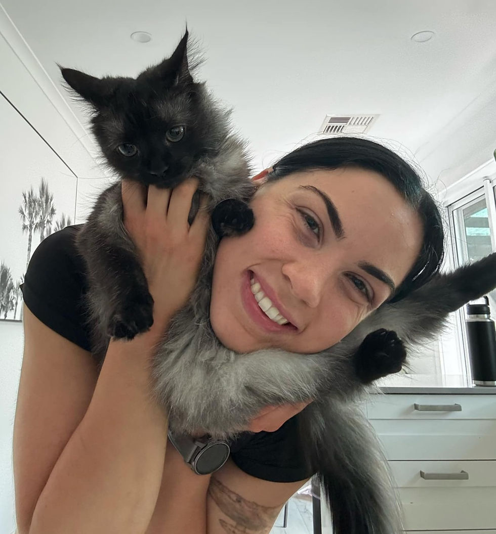 Baby Smokie the cat