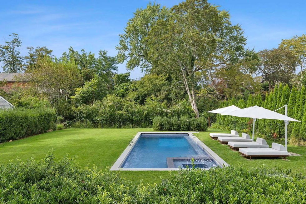 Garden and new pool