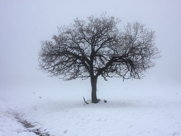 Cómo Guardar o Cubrir tus Muebles de Exterior en Temporada Invernal