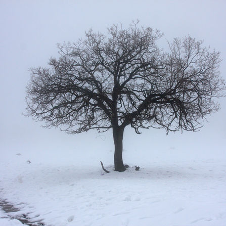 La météo est une affaire de cœur