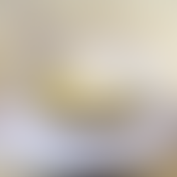 Yến Chưng Đường Phèn