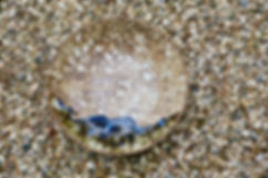 IMG_1225.jpeg