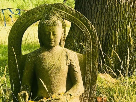 Tree-sitting Buddha from my retreat/pilgrimage to spiritual…