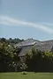 Tiled roof of a house with green foliage and blue sky.