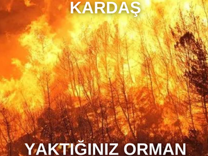 MANGAL SEVDASI…
