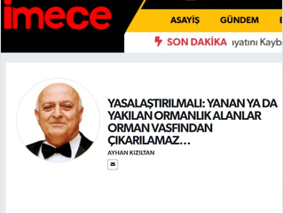 YASALAŞTIRILMALI: YANAN YA DA YAKILAN ORMANLIK ALANLAR ORMAN VASFINDAN ÇIKARILAMAZ…