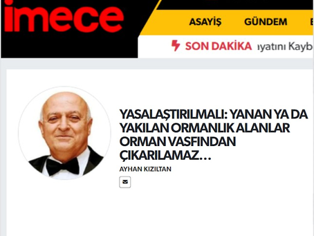YASALAŞTIRILMALI: YANAN YA DA YAKILAN ORMANLIK ALANLAR ORMAN VASFINDAN ÇIKARILAMAZ…