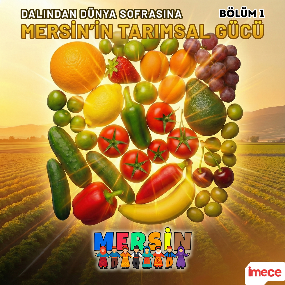 DALINDAN DÜNYA SOFRASINA - BÖLÜM 1