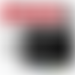 MERSİNİN SAHİPLERİ – 2; ELEKTRİK MÜHENDİSLERİ ODASI MERSİN ŞUBESİ 