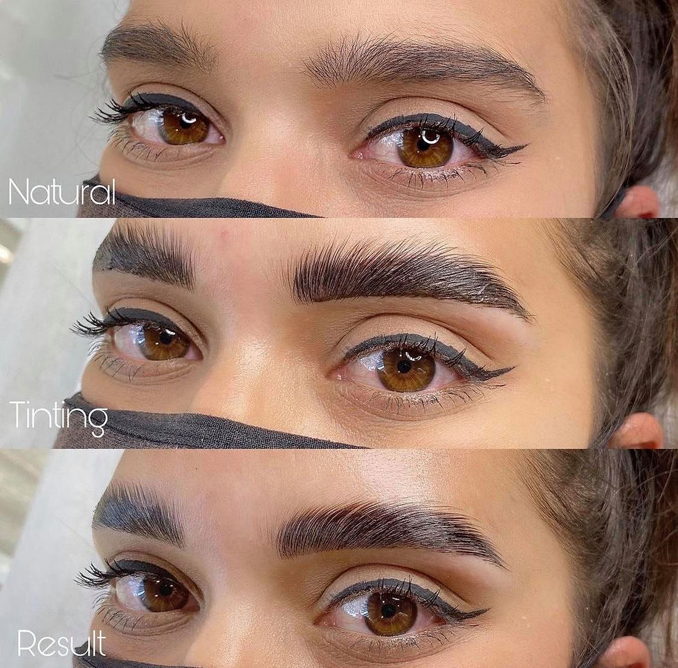 Brow Lamination Process