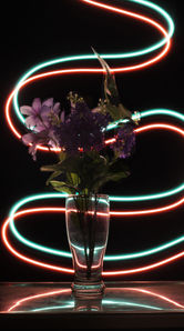 lightwriting1 (1).jpg