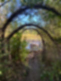 IMG_5288.jpeg