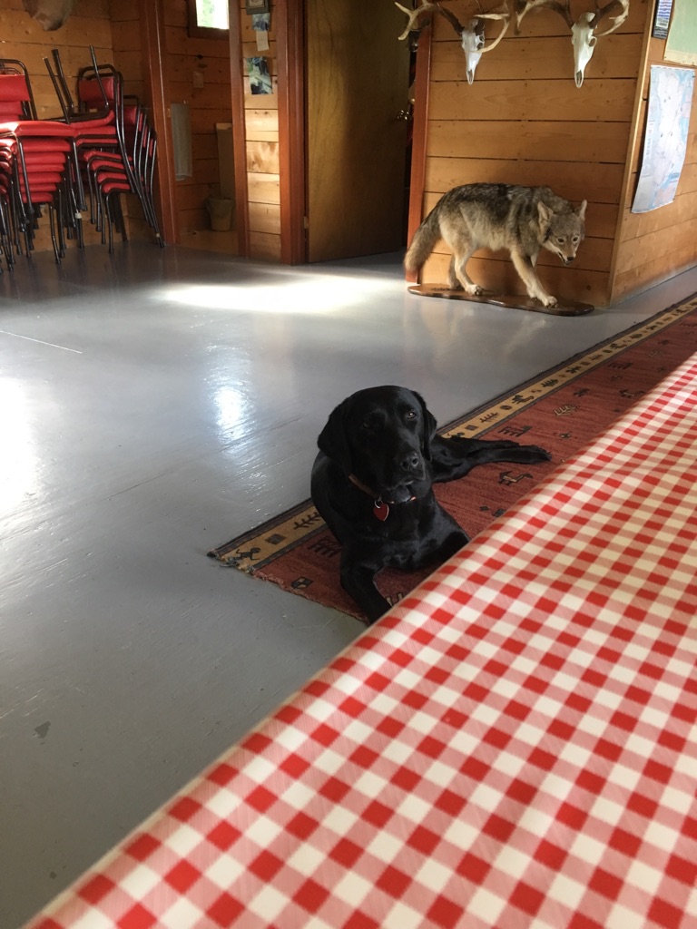 About Tomah Mountain Outfitters United States