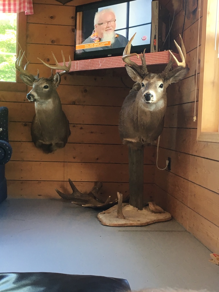 About Tomah Mountain Outfitters United States