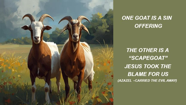 The Fall Feasts of the Lord