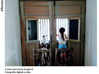Exposición: "La cuarentena en Mérida"