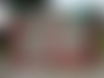 La lucha feminista dentro de los hermanamientos. Dos mexicanos en Costa Rica