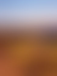 Freight Waves by Seabreeze – Trends and insights shaping logistics