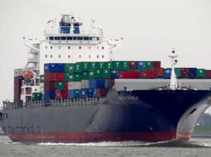 Weekly Insight from Seabreeze Logistics: Stay Ahead in Freight