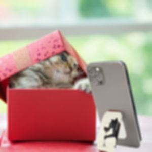 Cat Phone Grip as Phone Stand Next to Red Box with Cat Inside