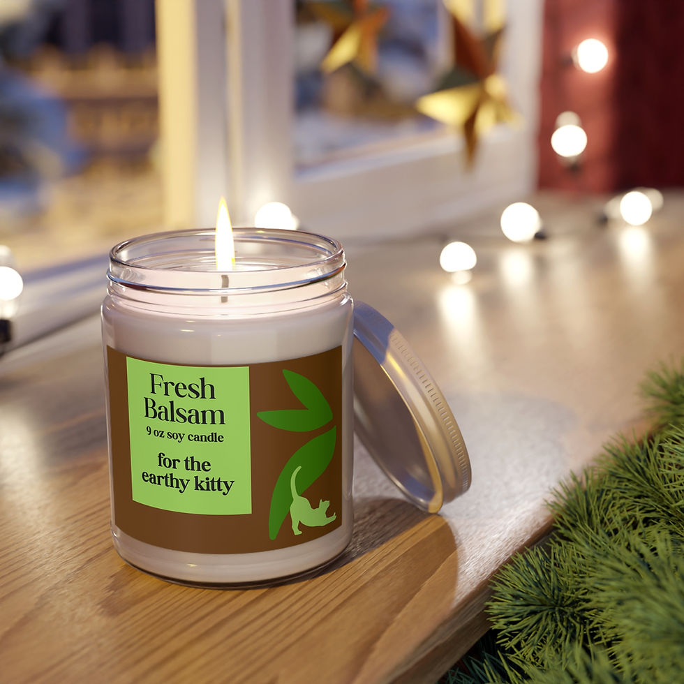 Fresh Balsam scented candle for cat lovers on a wooden window ledge surrounded by twinkle lights.