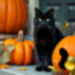 A Black Cat on a Front Porch Decorated with Pumpkins for Halloween