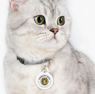 Comfort Diva Pet ID Tag on a White Cat