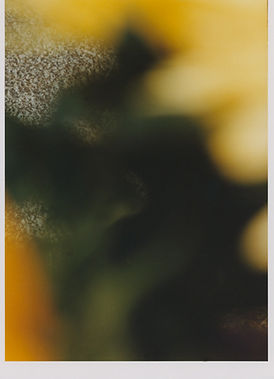 31_floresmarx.jpg