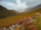 IMG_1294.jpeg
