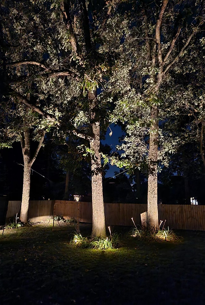Outdoor tree lighting
