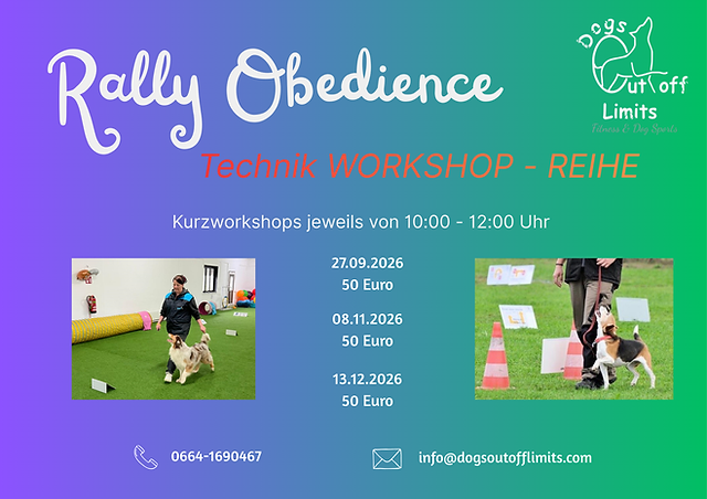 RO Workshop Reihe.png