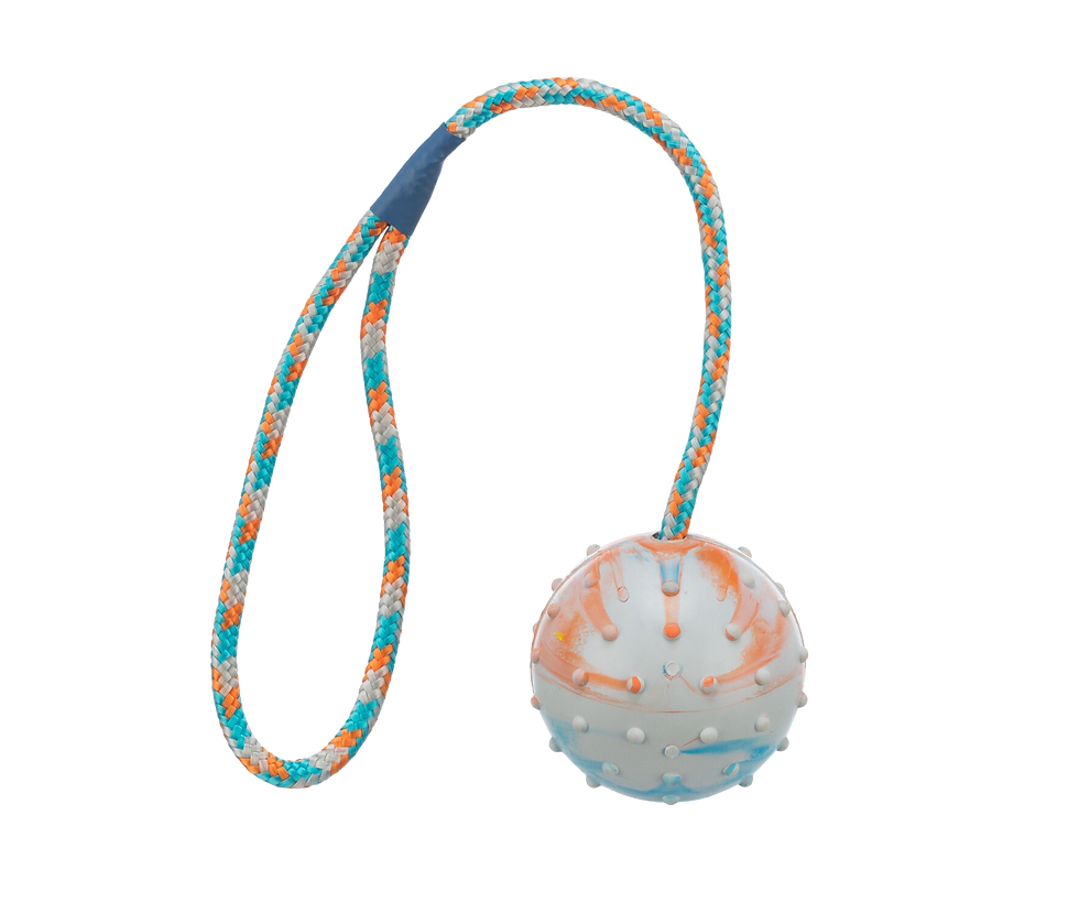 Trixie Ball am Seil, Naturgummi ø 6/30 cm