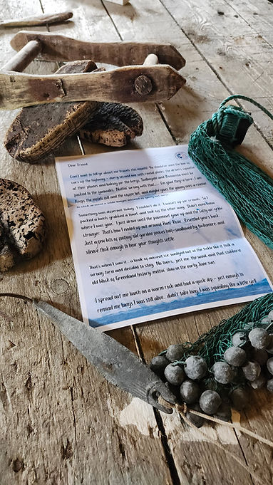 20250729_141052 (1).jpg