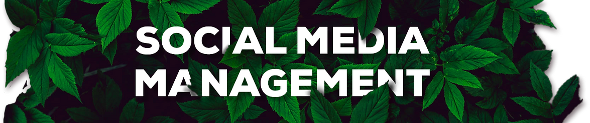 social-media-management-heading.png