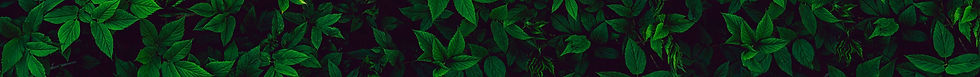 social-media-management-heading-background.jpg