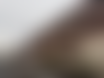 伊奈町の不動産物件のケヤキ高木剪定作業