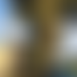 北本市で伐採作業