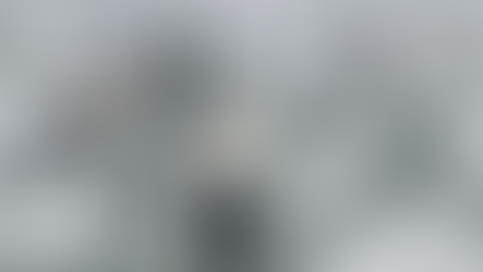 Incertidumbre en las organizacioanes