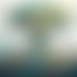 Infografía 5ta Disciplina de Peter Senge