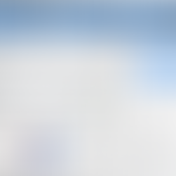 Caso. Transformación de "Alimentos del Sur"